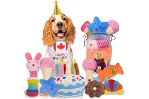 Rainbow-K9 11 Dog Birthday Party Supplies Birthday Squeaky Cake Toys Dog Birthday Hat Dog Party Decorations