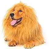 Lion Mane for Dog, Dogloveit Dog Costume with Gift [Lion Tail] Lion Wig for Dog