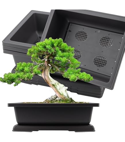Jeuihau 4-Pack 14-Inch Bonsai Training Pots With Trays – Rectangular Plastic Planters
