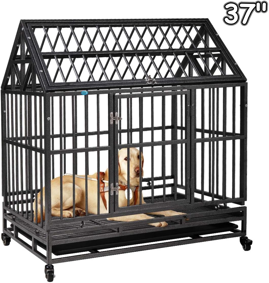 All dogs in the cage Clearance