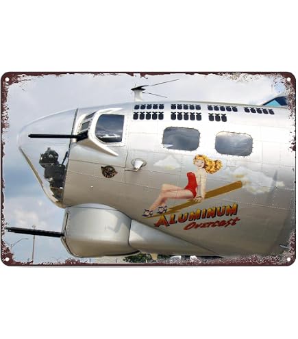 Made in The USA Planes Military Pin Up Tin Signs Vintage Decor for Bars,Diner,Cafes Pubs Garage Home Wall Art Poster Metal Plaques 11.8x7.9 Inch