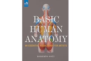 Basic Human Anatomy: An Essential Visual Guide for Artists