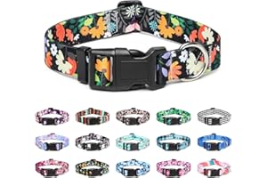 Mercano Adjustable Dog Collar - Special Design Patterns, Soft Nylon Comfortable Durable Pet Collar for Small Medium Large Dogs (M, Floral Orange)