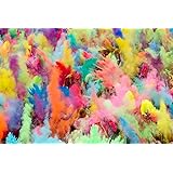 ColorMarathon(TM) Premium Quality non-toxic HOLI Colors color powder - 12 Lbs (6 colors X 2lbs Ea color) RED, YELLOW, PINK, B