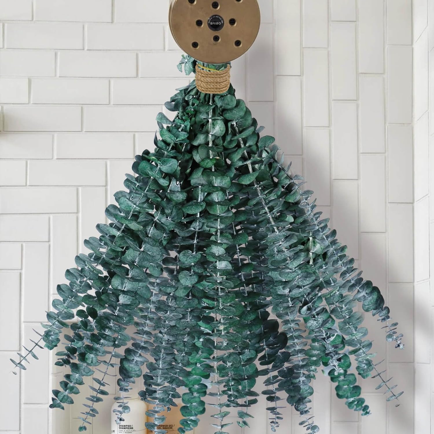 Dried & Preserved Flora - 18 PCS Dried Eucalyptus Stems for Shower - 17