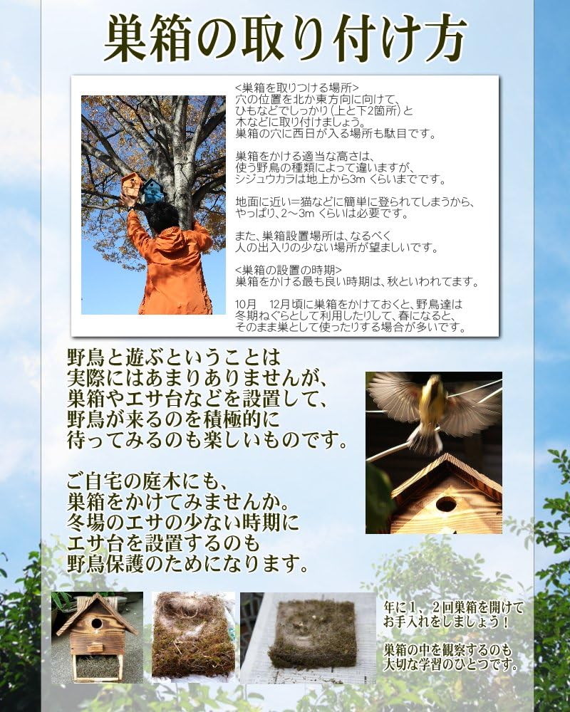 Amazon 野鳥用巣箱 完成品 すぐ取り付けできます バードハウスb 上ふたタイプ 親子体験 夏休みの自由研究 ｐｔａ活動に キバコヤ 巣 巣箱 通販