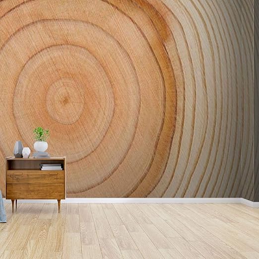 Amazon Com Kanworse Papel Pintado Para Pared Diseno De Aros De