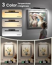 Bridika Picture Lights for Wall Battery Operated