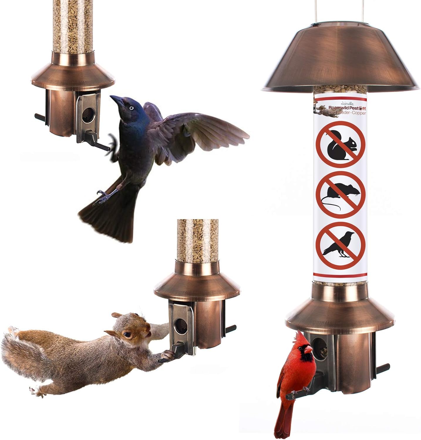 Roamwild Squirrel Proof Wild Bird Feeder PestOff Antique Copper