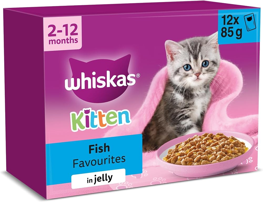 Whiskas Junior Wet Cat Food in Jelly Fish Favourites 12x85g Kitten Pack of 4
