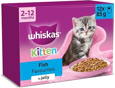 Whiskas Junior Wet Cat Food in Jelly Fish Favourites 12x85g Kitten Pack of 4