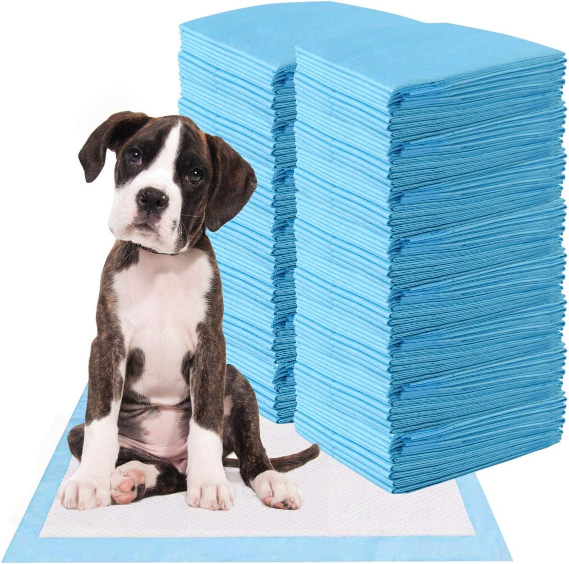 piddle pads for dogs