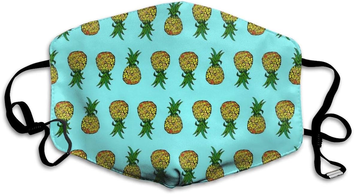 Pineapple Dust Mask, Reusable Washable Mouth Masks, Adjustable Warm Face Mask Unique Cover Filters Blocking Pollen Pollution Germs