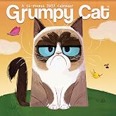 2027 Grumpy Cat Mini Calendar
