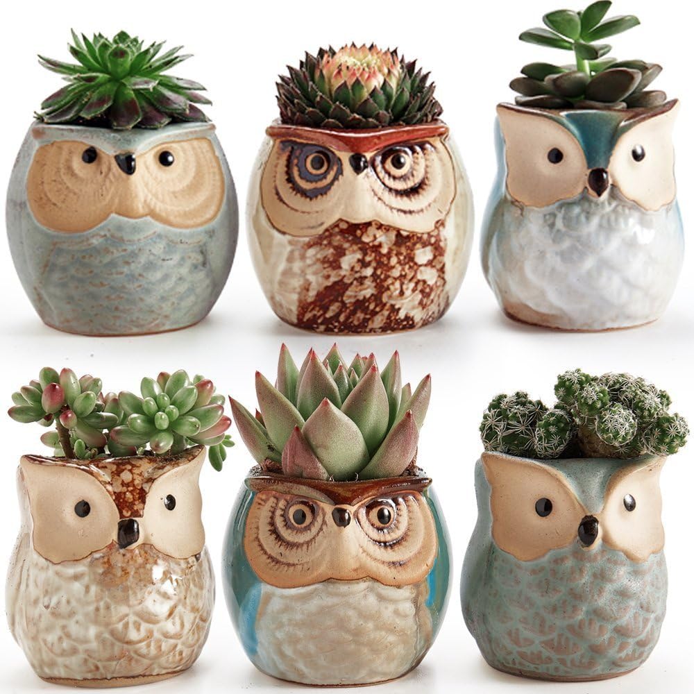 6 Pack in Set Owl Pot Ceramic Flowing Base Serial Set Succulent Plant Pot Cactus Plant Pot Flower Pot Container Planter Bonsai Pots with A Hole Perfect Gift Idea (2.5 Inch)
