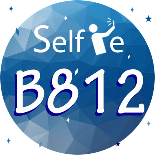 B8612: Sweet Selfie From Heart