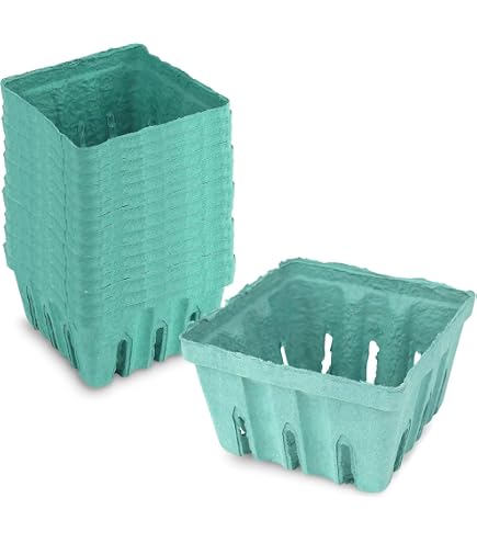 Amazon.com: MT Products Green Berry Basket 1 Pint - Molded Pulp