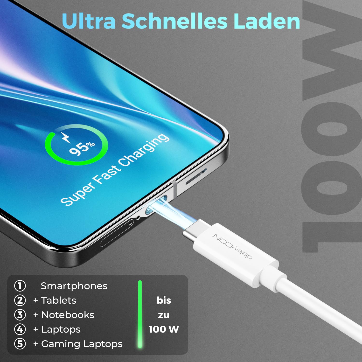 deleyCON 1m USB C Kabel USB3.2 Gen2 (10 Gbit/s + 100W Fast Charge) Ladekabel Datenkabel für SDD HDD Apple iPhone 17 16 15 Pro Max Air Galaxy S26 S25 S24 S23 iPad MacBook iMac Tablet Switch PS5 Weiß 5
