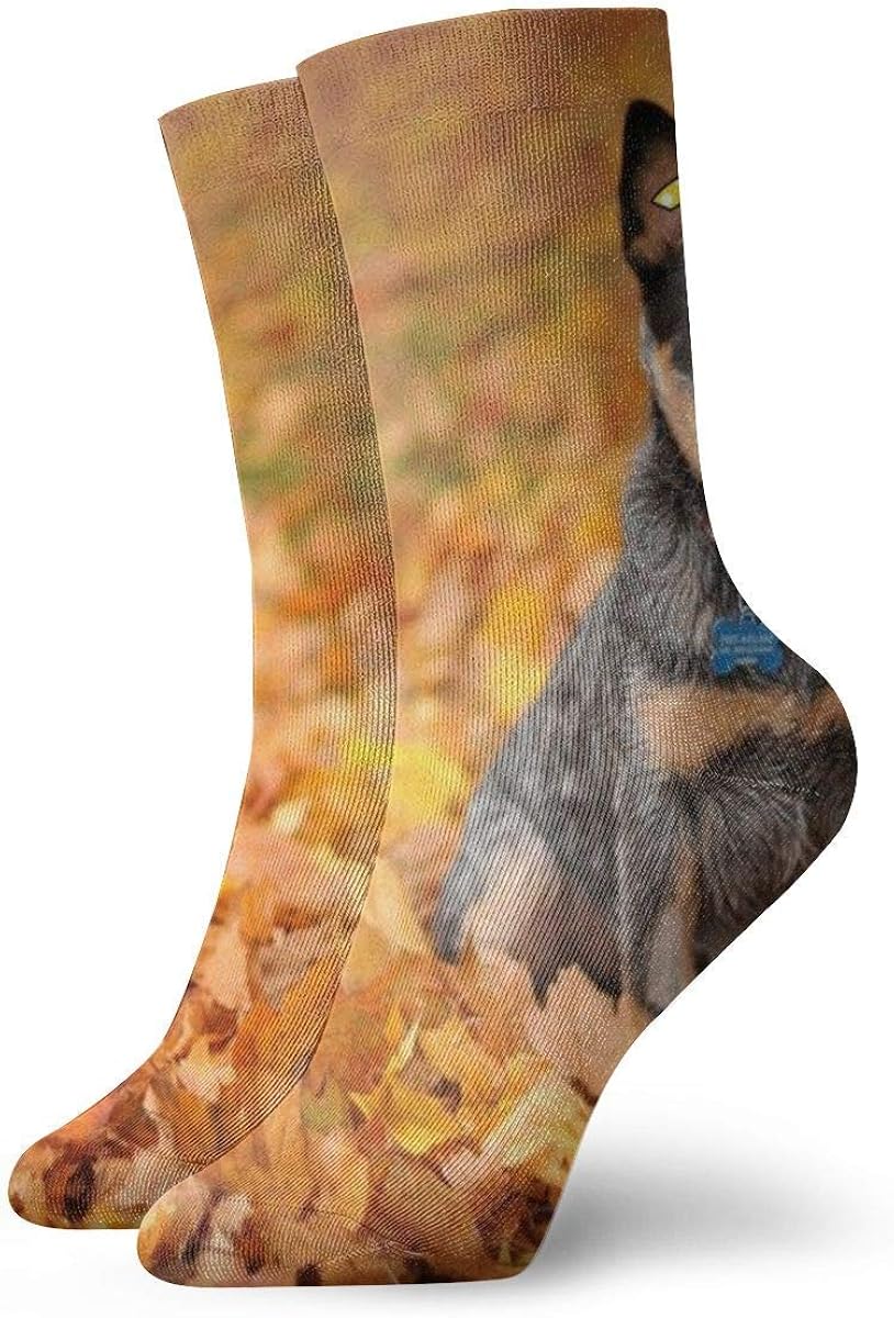 Blue Heeler Autumn Funny Novelty Casual Crew Dress Socks for Womens