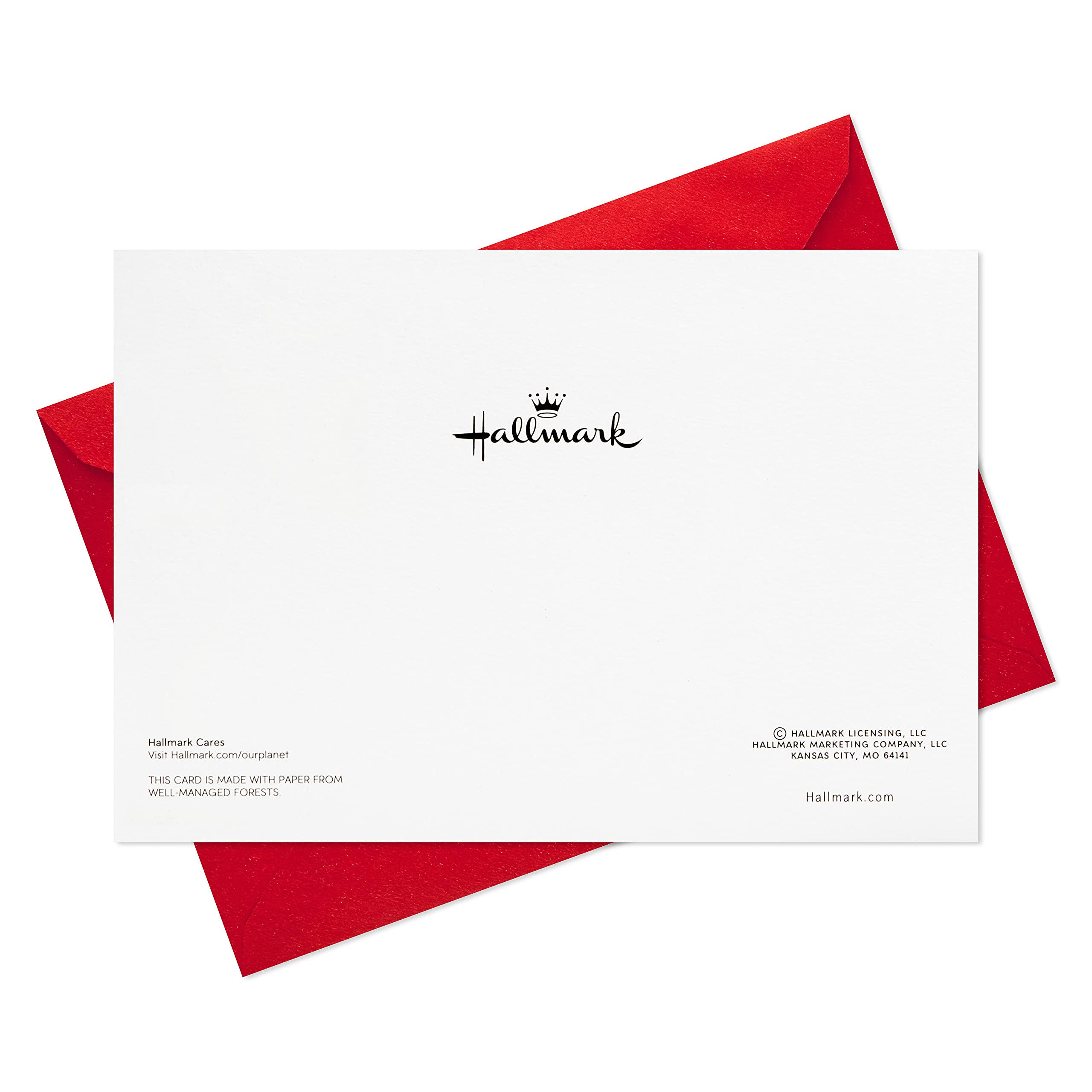 Hallmark Boxed Holiday Cards, Floral Season's Greetings (40 Cards with Envelopes)