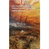 Decolonial Ecology: Thinking from the Caribbean World (Critical South)