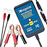 Heagstat 12V 2000mA Lead Acid/Lithium(LiFePO4) Automatic Trickle Battery Charger Smart Battery Maintainer for Auto Car Motorc