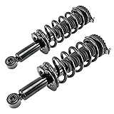 KAC Rear Strut & Coil Spring Assembly Set Driver