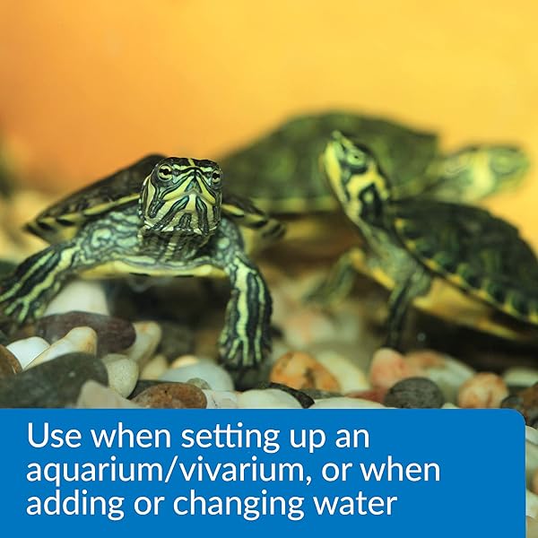 API TURTLE WATER CONDITIONER WATER CONDITIONER 8-OUNCE BOTTLE