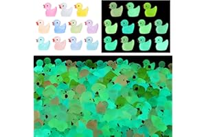 BUQIUREN 220pcs Luminous Mini Tiny Resin Ducks Plastic Small Duck Bulk, Glow in The Dark Tiny Ducks for Garden Micro Landscape Ornament Dollhouse Prank Christmas Birthday Party DIY Decoration Craft(11 Colors)