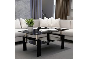 IANIYA Clear Glass Coffee Table Metal Tube (All-Black)