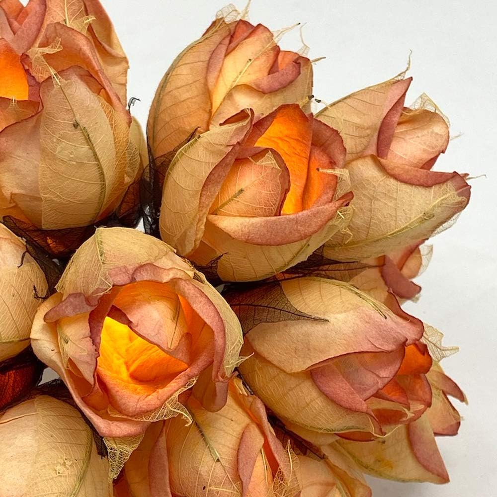 Blaze On Chelsea Rose Fairy Lights (Glowing Peach), 20 Warm White LED Lights, Handcrafted Roses Created from Mulberry Paper - Image 4