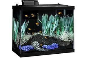 Tetra ColorFusion Aquarium 20 Gallon Fish Tank Kit, Includes LED Lighting and Decor