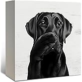 DAYOUER Black Labrador Bathroom Decor, Funny Labrador Retriever Wooden Box Sign, Gifts for Labrador Dog Lovers Wood Signs for Bathroom Toilet Restroom Counter Shelf Wall Decoration 5x5 Inch