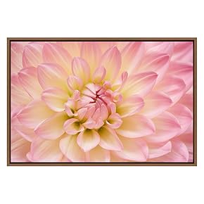 SIGNWIN Framed Canvas Wall Art Blush Pink and...