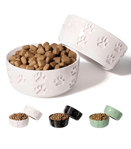 salmon wet cat food 3 oz (Pack of 24)