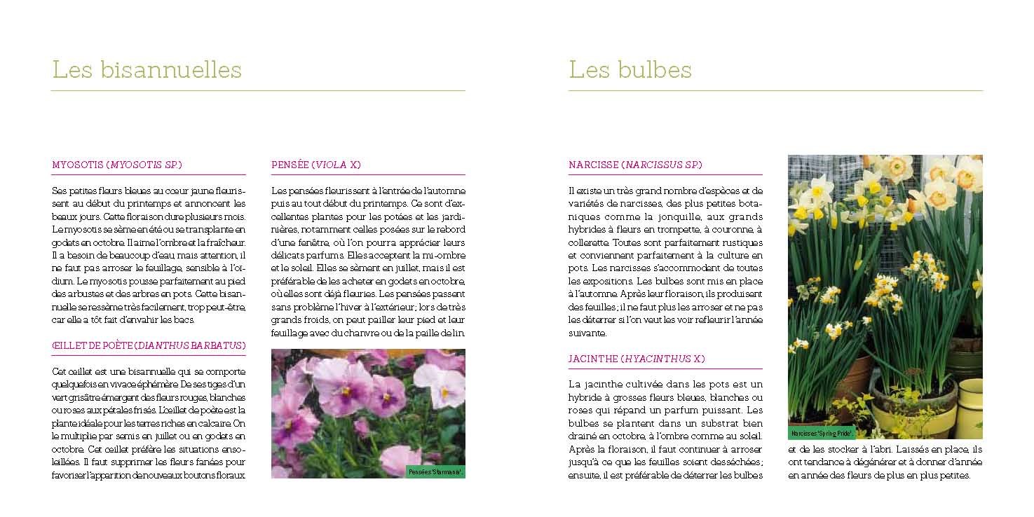 Coffret Jardin En Pots En 3 Volumes Plantes Dintérieur