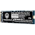 TRIDENITE 2TB NVMe M.2 2280 PCIe Gen 3x4 Internal Solid State Drive (SSD)