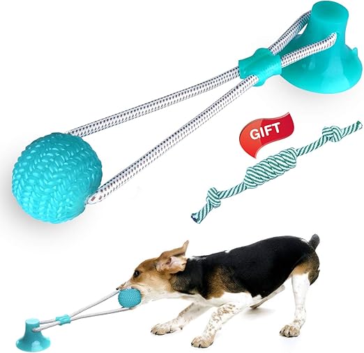 juguete dental perro