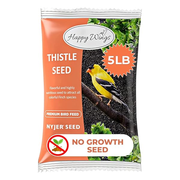 HAPPY WINGS NYJER/THISTLE SEEDS WILD BIRD FOOD – 5 POUNDS I NO GROW SEED I BIRD SEED FOR WILD BIRDS