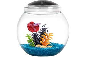 Koller Products 1-Gallon Globe Fish Bowl, Impact- Resistant Plastic Aquarium Starter Kit with LED Lighting, Built-in Timer, Crystal-Clear Clarity, Desktop Fish Tank for Home Décor