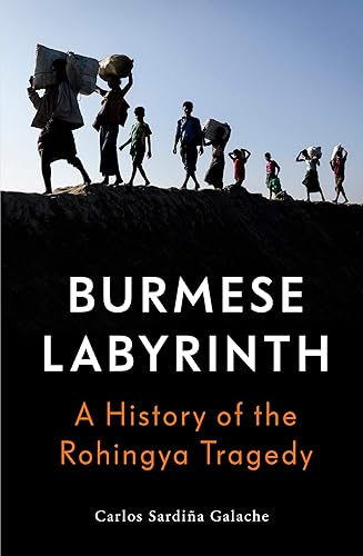 Download The Burmese Labyrinth PDF
