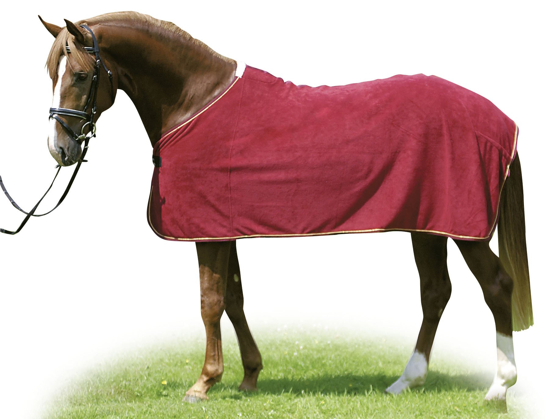 HKM 560806 XL Cooler