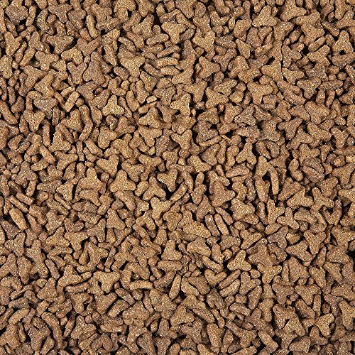 Sun Seed Sunscription Vita Prima Ferret Food 3lb