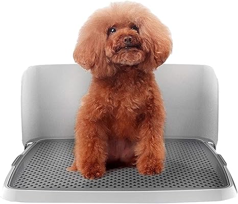 Amazon Co Jp ペットトイレ 犬の訓練用トイレ 保護壁カバー オプションのオスの犬の場合 足を乾いた状態に保ち 床を清潔に保つ保証 Size Small ペット用品 Amazon Co Jp ペットトイレ 犬の訓練用トイレ 保護壁カバー オプションのオスの犬の場合 足を乾いた状態に保ち 床を清潔に保つ保証 Size Small ペット用品
