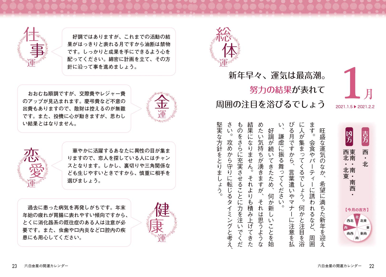 21年版 六白金星 九星運勢占い Amazon Com Books