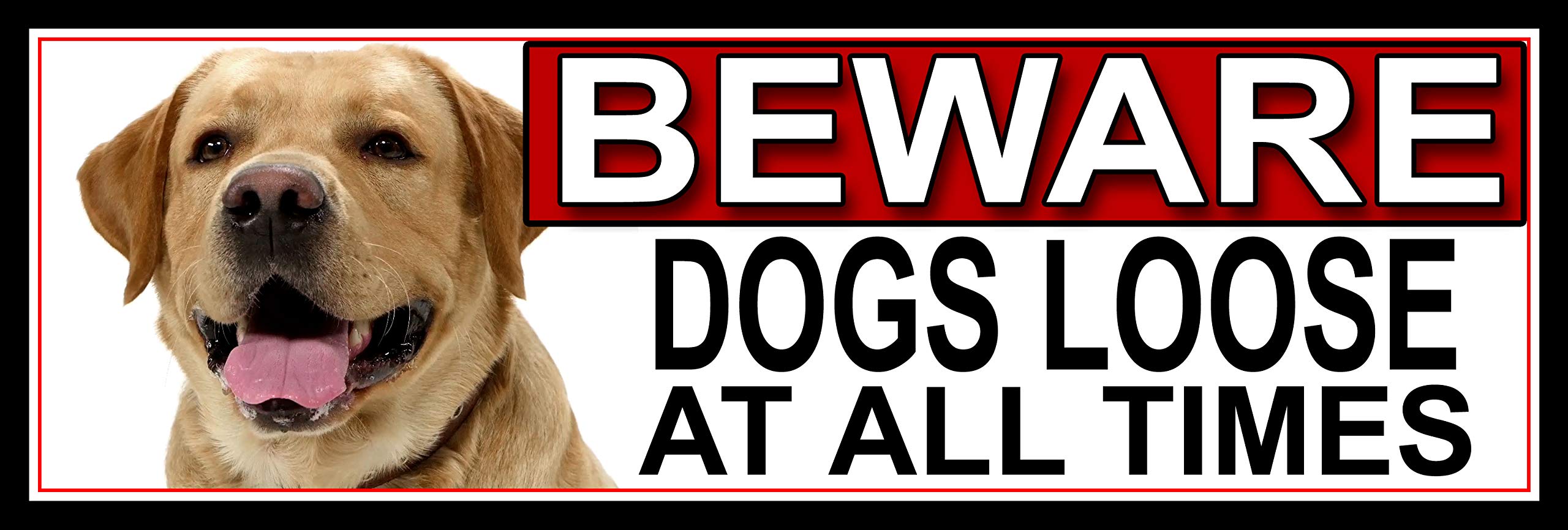 SHAWPRINT Yellow Labrador BEWARE DOGS LOOSE AT ALL TIMES METAL GATE SIGN 266mm x 87m. (420H2)