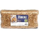 FloraCraft Decorative Straw Bale 5 Inch x 6 Inch x 13 Inch Natural