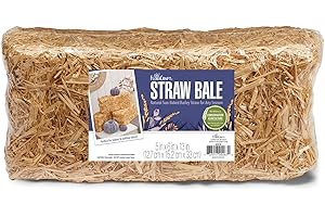FloraCraft Straw Bale, 6-Inch by 5-Inch by 13-Inch, Natural