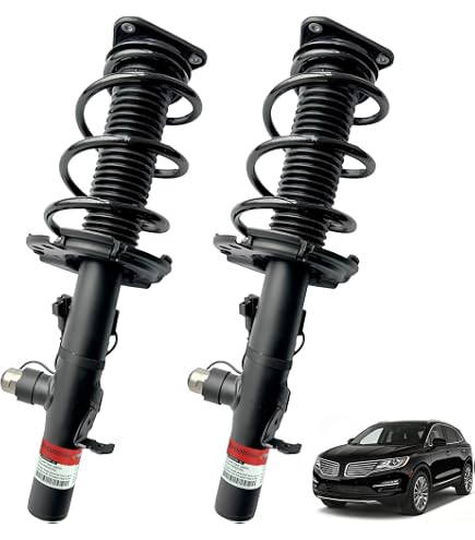 Amazon.com: EVODAMP SHOX Pair Front Struts Shock Absorber Assembly