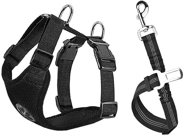 dog car seat belt amazon